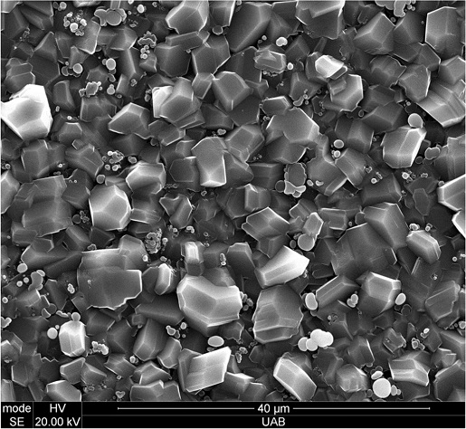 SEM image Boron rich carbide