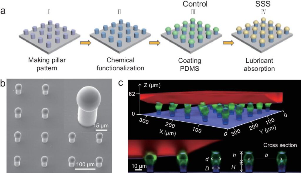 An Engineered Salvinia-like Slippery Surface - About Tribology