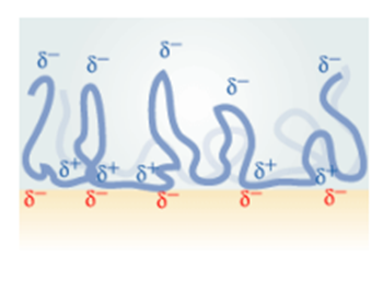 Adhesion Definition