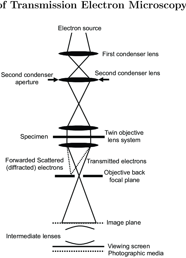 Scanning Electron Microscope Principle