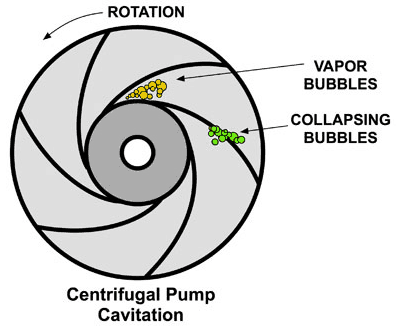 Diagram, venn diagram Description automatically generated