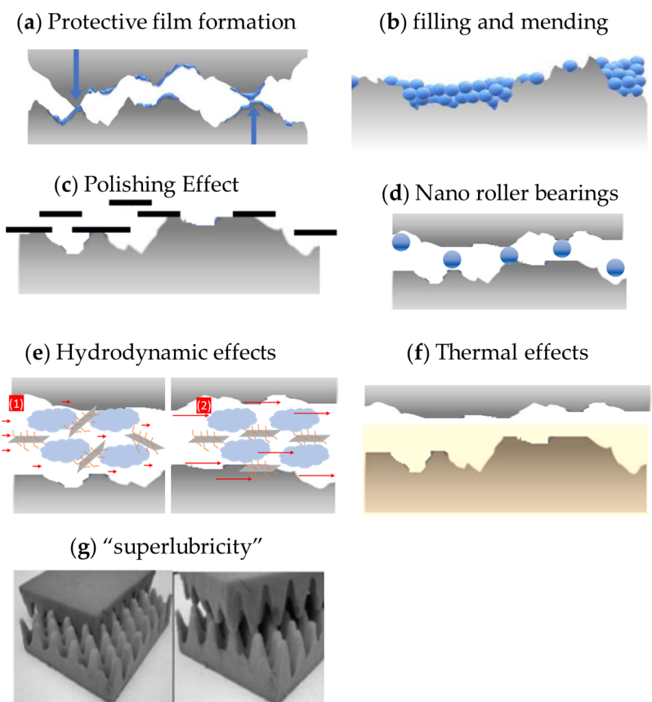 A collage of images of different shapes Description automatically generated