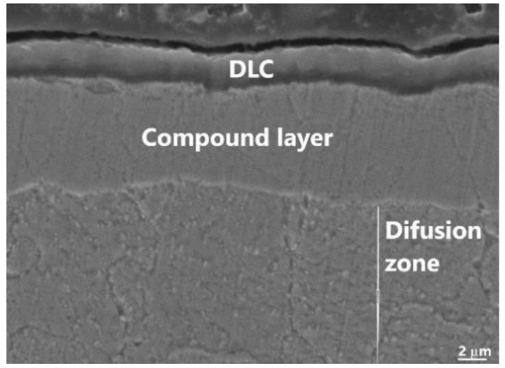 Combined Use of Surface Texturing, Plasma Nitriding and DLC Coating on Tool Steel