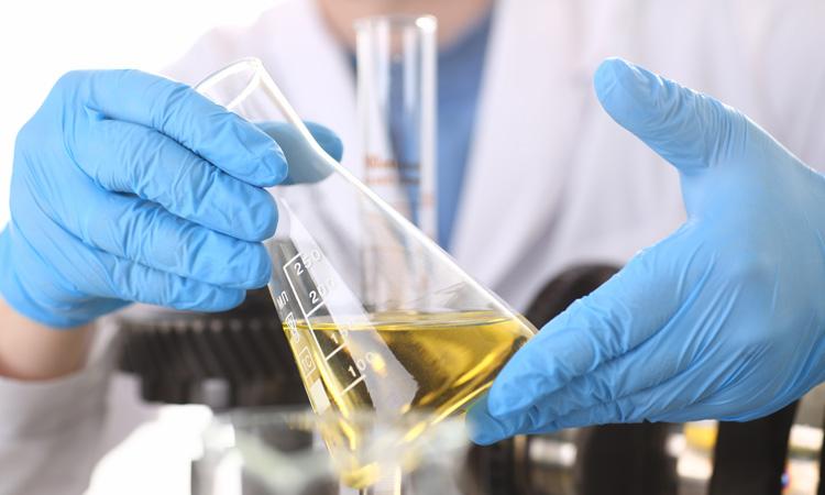 The growth of the bio-lubricant industry - New Food Magazine
